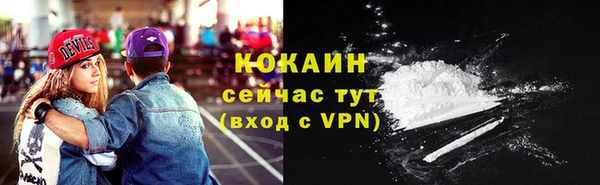 гашик Аркадак