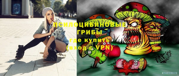 молекула духа Армянск